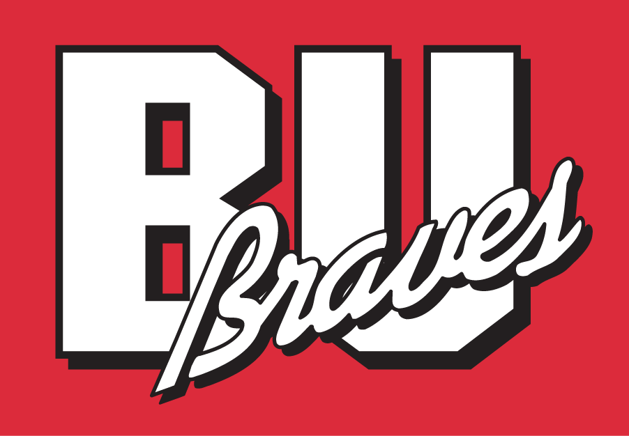 Bradley Braves 1989-2011 Secondary Logo diy fabric transfer